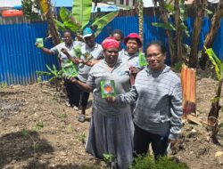 TP-PKK Tolikara Laksanakan Program “Aku Hatinya PKK” Untuk Mendorong Ketahanan Pangan Keluarga.