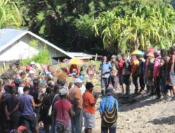 Semangat Gotong Royong, GIDI Kungguraluk Gelar Bakar Batu untuk Bangun Gedung Sekolah Minggu