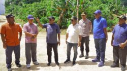 Bupati dan Wakil Bupati Jayapura Tinjau Pembangunan Jalan Demta – Muaif