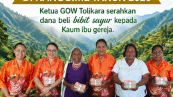 GOW Tolikara Sosialisasikan Penanaman Sayur dan Cabai Jelang BPL GIDI Pusat di Kanggime