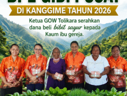 GOW Tolikara Sosialisasikan Penanaman Sayur dan Cabai Jelang BPL GIDI Pusat di Kanggime