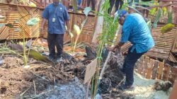 Tebar 10 Ribu Benih Ikan dan Tanam Sagu, Bupati Yunus Wonda: Sagu dan Danau Sentani Wajib Dilindungi